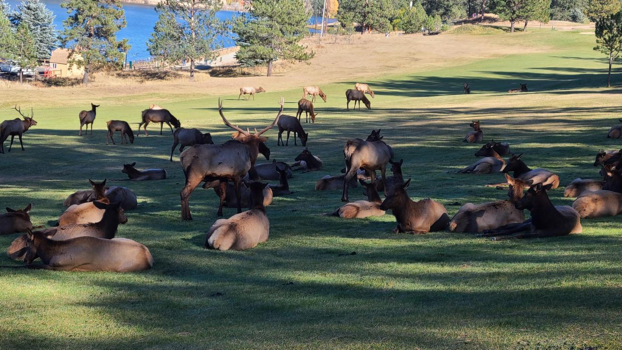 (Photo submitted by jamesmartin62 on 10/27/2022)